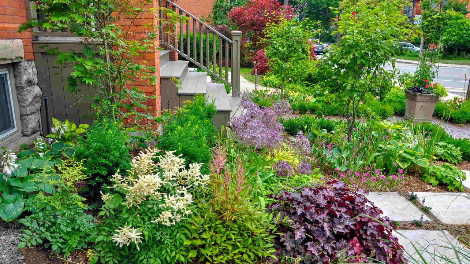 Landscaping Designing tips to create your Dream Backyard