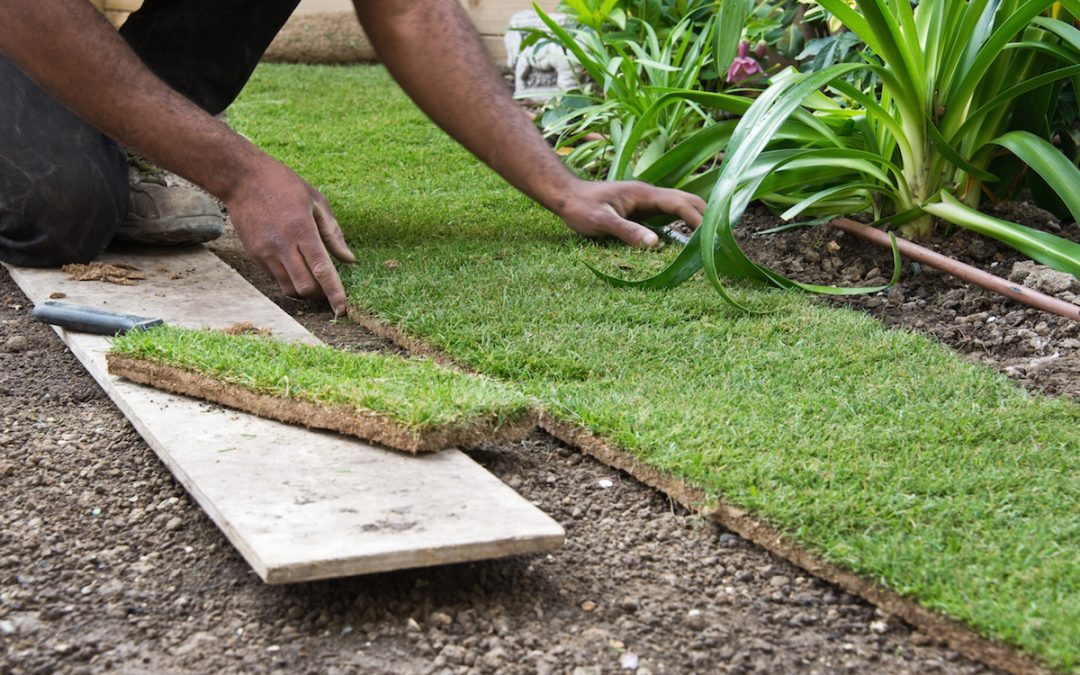 Ideas to Revitalize your Garden – Progrenflooring