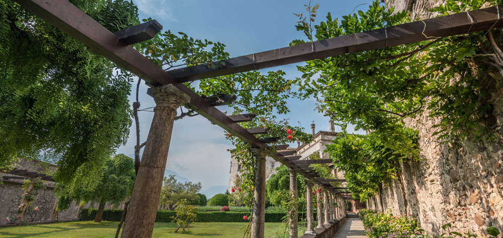 Mediterranean landscape design to make a better impression