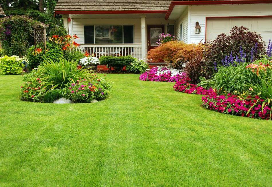 Tips to maintain your lawn in UAE