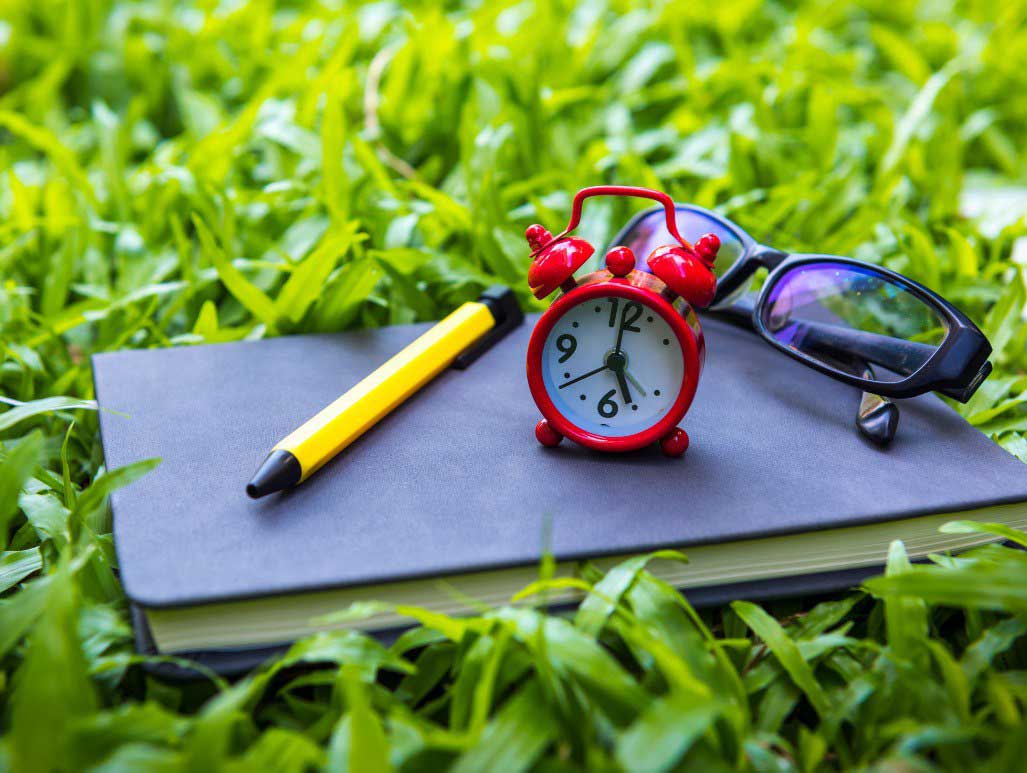 Questions to ask before starting your Landscaping Projects