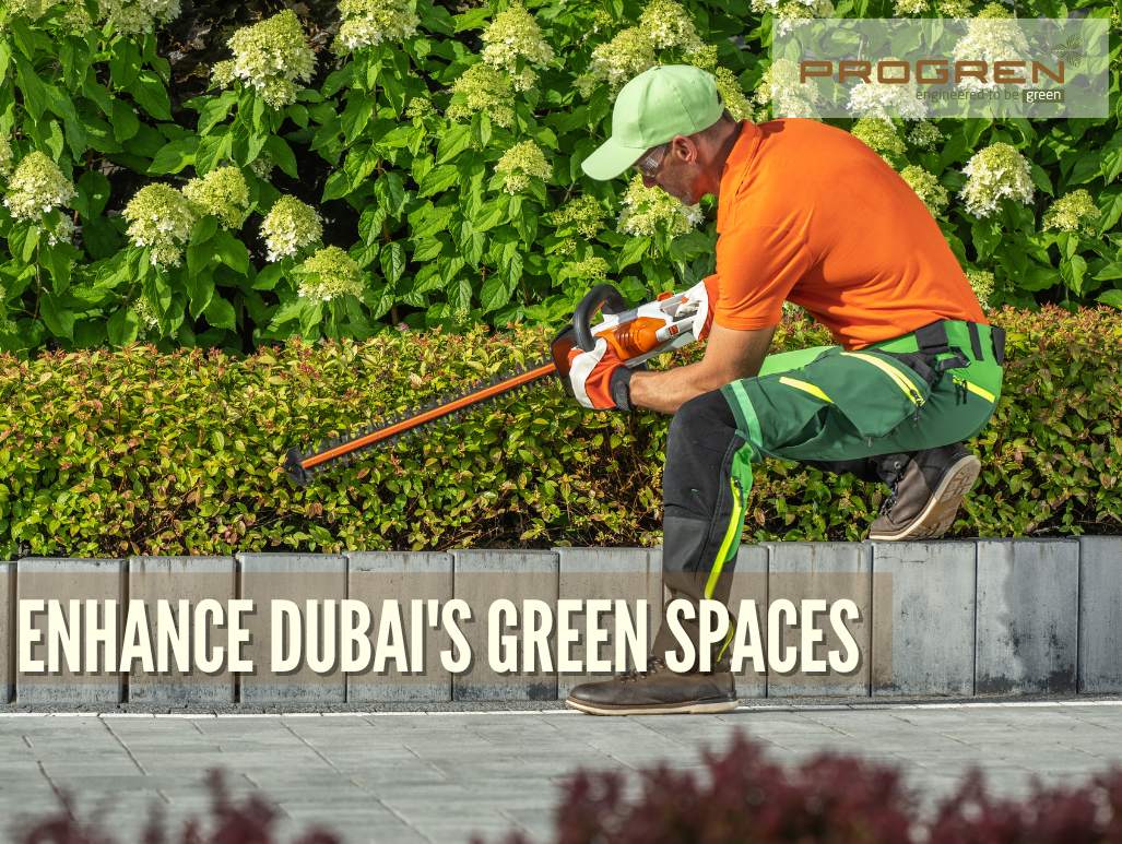 The Importance of Garden Maintenance Services in Dubai