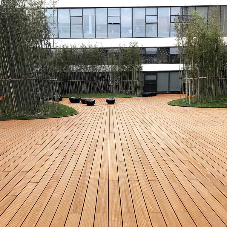 Progren Bamboo
