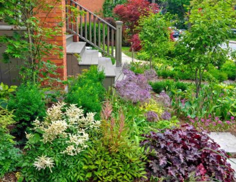 Landscaping Designing tips to create your Dream Backyard