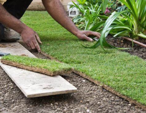 Ideas to Revitalize your Garden – Progrenflooring