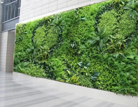 Tips to Create and Maintain Vertical Garden